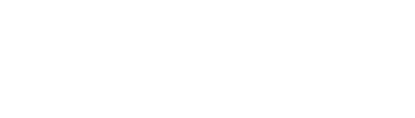 Saltwater Interactive